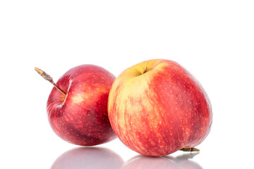 Two juicy red apples, close-up isolated on white.