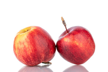 Two juicy red apples, close-up isolated on white.