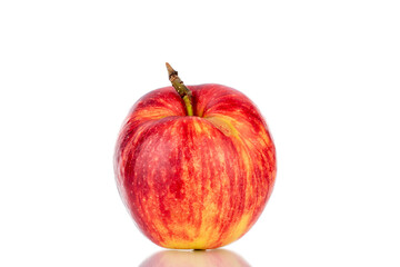 One juicy red apple, close-up isolated on white.