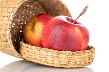 Two juicy red apples with a basket, close-up isolated on white.