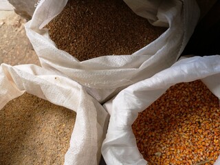 three bags with various feeds for farm animals, wheat, corn and compound feed as a nutritious food in livestock and poultry farming, a stock of grain feed in the barn