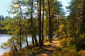 Obraz premium Autumn landscape on the shore of a forest lake