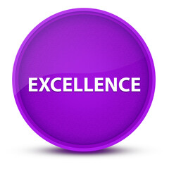 Excellence luxurious glossy purple round button abstract