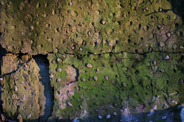 Beautiful old stone surface covered with cracks and bright green moss illuminated by sun
