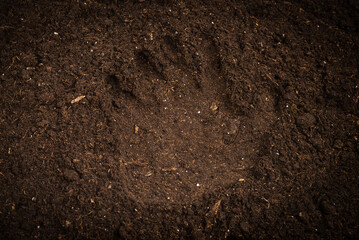 Woman hand trace on a ground.