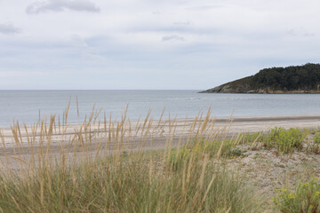 Coastal atlantic quiet beach with a wooded mountain at the right and some blur reeds in the foreground.