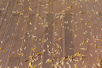 Texture of street boards on the embankment of the pond and yellow leaves