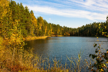 Fototapeta na wymiar Autumn landscape on the shore of a forest lake