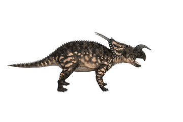 Einiosaurus in different angles and poses rendered on white background, 3D rendering illustration.