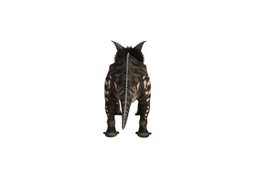 Einiosaurus in different angles and poses rendered on white background, 3D rendering illustration.