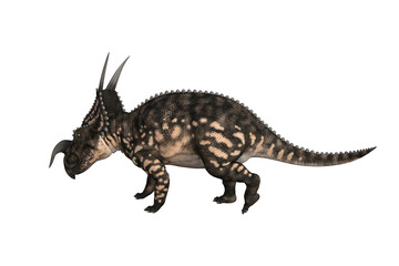 Einiosaurus in different angles and poses rendered on white background, 3D rendering illustration.
