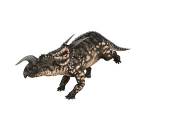 Naklejka premium Einiosaurus in different angles and poses rendered on white background, 3D rendering illustration.