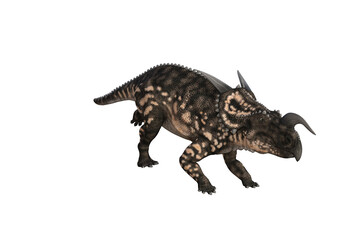 Einiosaurus in different angles and poses rendered on white background, 3D rendering illustration.