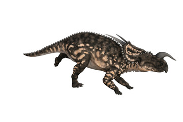 Einiosaurus in different angles and poses rendered on white background, 3D rendering illustration.
