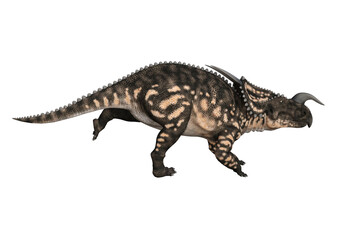 Einiosaurus in different angles and poses rendered on white background, 3D rendering illustration.