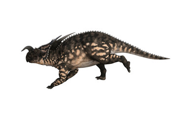 Einiosaurus in different angles and poses rendered on white background, 3D rendering illustration.