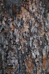 texture