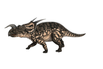 Einiosaurus in different angles and poses rendered on white background, 3D rendering illustration.