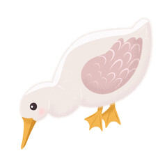 White Goose in different poses. Cute vector illustration in simple hand-drawn cartoon style. Cute cartoon ducks. Character bird with outline and texture