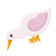 White Goose in different poses. Cute vector illustration in simple hand-drawn cartoon style. Cute cartoon ducks. Character bird with outline and texture