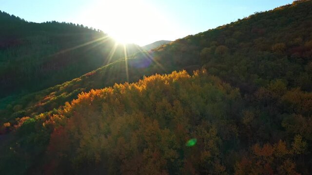Flying over road looking towards the sun peaking over mountains with golden color in the forest during Fall.