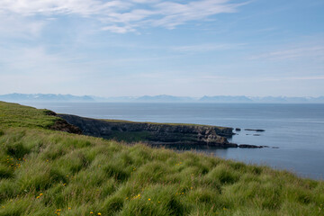 Landscape of grassy cliffs on the coast of Grimsey Island Iceland