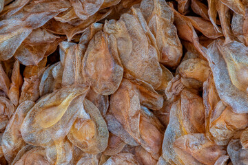 Macro detail of a pile of Gladiolus plant seeds