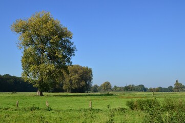 wunderschöne Landschaft am Niederrhein