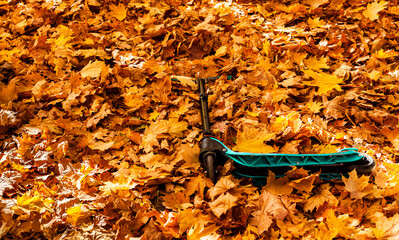 scooter lying in the autumn foliage