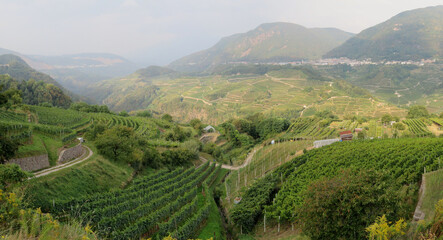 Fototapeta na wymiar Tranquil Austrian valley in the wine country