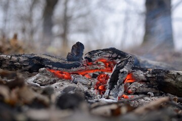 bonfire wood fire flame sparks
