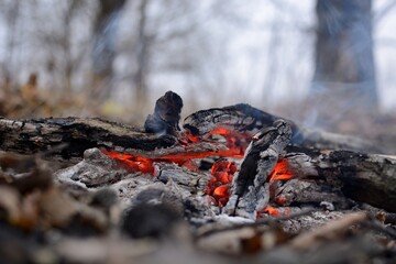 bonfire wood fire flame sparks
