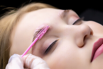 eyebrow lamination procedure the master applies gel with a brush to the eyebrows of the model - obrazy, fototapety, plakaty