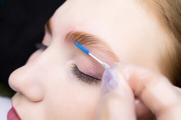 close-up in the master of a special brush and gives the correct direction and growth of laminated eyebrows