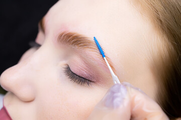 close-up in the master of a special brush and gives the correct direction and growth of laminated eyebrows