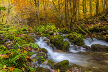 Mountain stream with small and waterfalls in autumn, Zumberak, Croatia