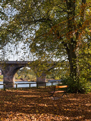 Autumn leaves and enpty seat by river and bridge
