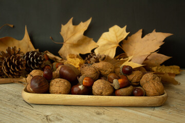 autumn still life with acorns and leaves