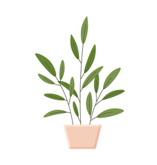 Botancal illustration with leaves and plant. Beautiful flower vase with colorful flower vector flat icon. Colorful flower in vase isolated flat icon on white background. Vector illustration eps 10