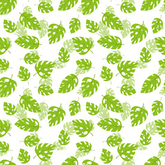 Floral seamless with hand drawn color exotic monstera leaves. Cute summer background. Tropic green branches. Modern floral compositions. Fashion vector illustration for wallpaper, fabric, textile