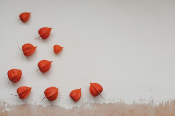 Frame made of red flower buds on white background. Flatlay, top view. View from above. Copy space mockup.