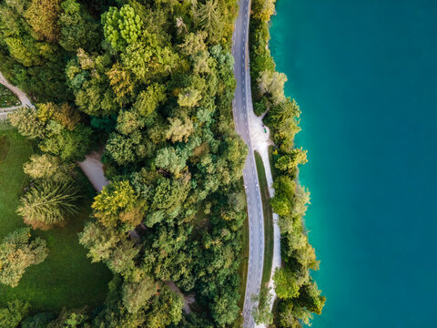 Aerial view of a road along Lake Bled shoreline running near Pine trees, Upper Carniola, Slovenia.