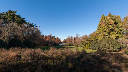 Fototapeta premium Simplon Park, 