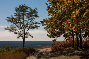 Fototapeta na wymiar October sunny day trees horizon landscape