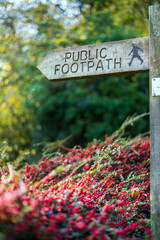 sign in the woods, public footpath