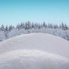 Christmas snow background in blue tone isolated on winter forest .