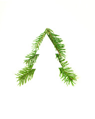 Creative Christmas tree with copy space. 