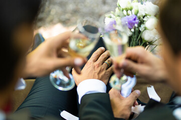 Gay couple celebrating their wedding