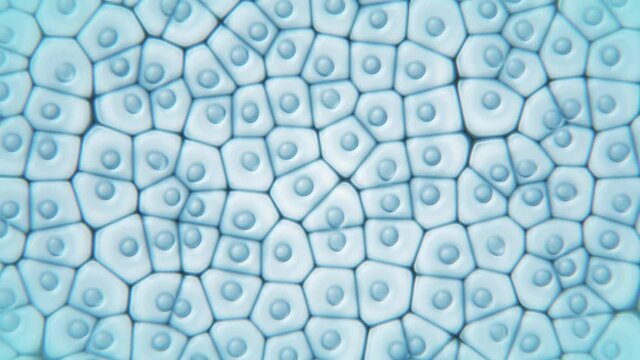 Cell colony under microscope view. Dynamic microbiology concept animation. Cells floating in liquid formation. Research, genetic engineering. Bacteria. Science, Medicine, biology 4K 3D Render video