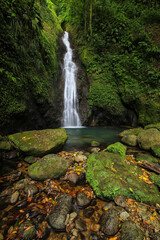 Concord Waterfall on Grenada Island, Grenada. - obrazy, fototapety, plakaty
